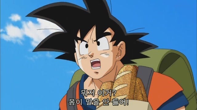 손가 이미지