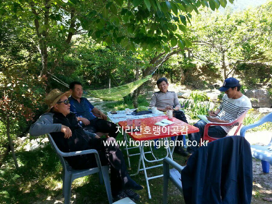 인스브레인 이미지