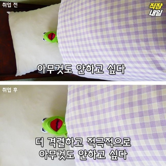 로즈리나 이미지