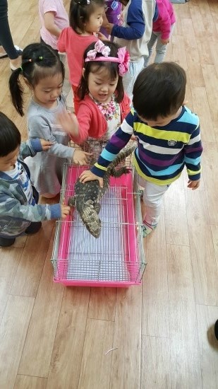 썬어린이집 이미지