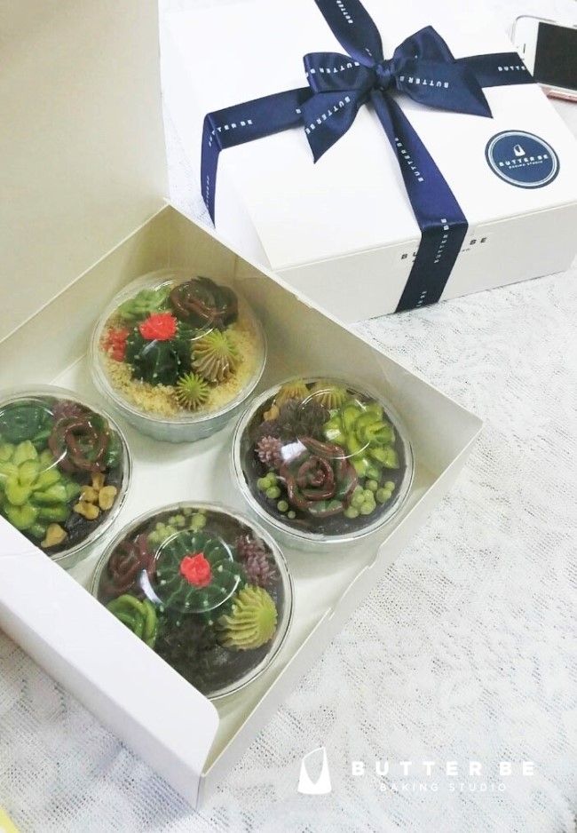 버터비 이미지