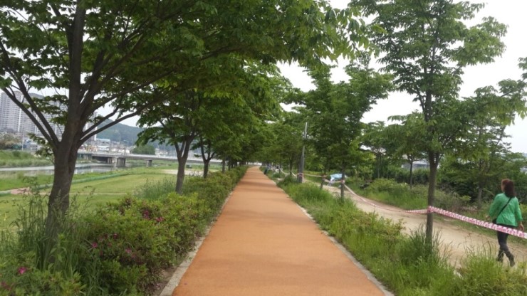 중앙자전거 이미지