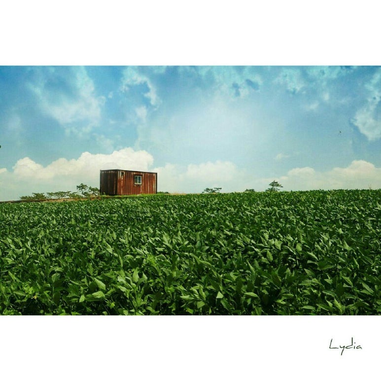 라이카카메라 이미지