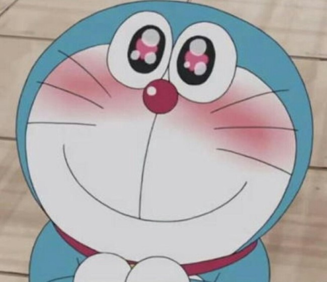 치꼬 이미지