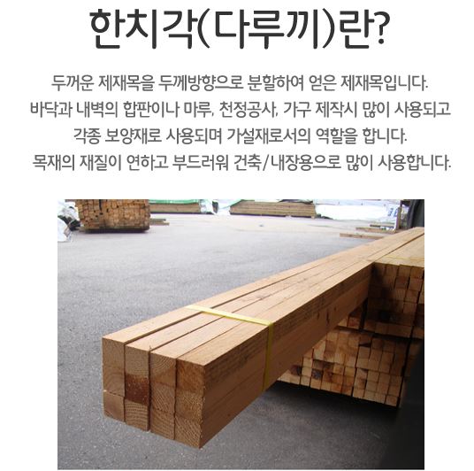 디케이글로벌 이미지