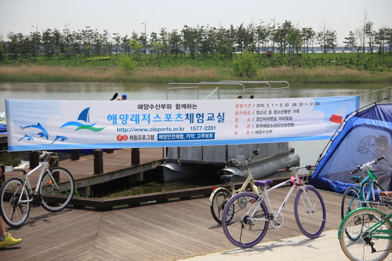 레포츠킹 이미지