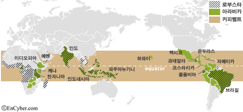 커피벨트 이미지