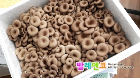쥬드발레학원 이미지