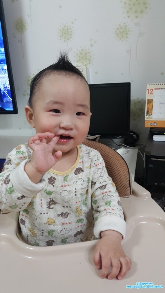 코어디 이미지