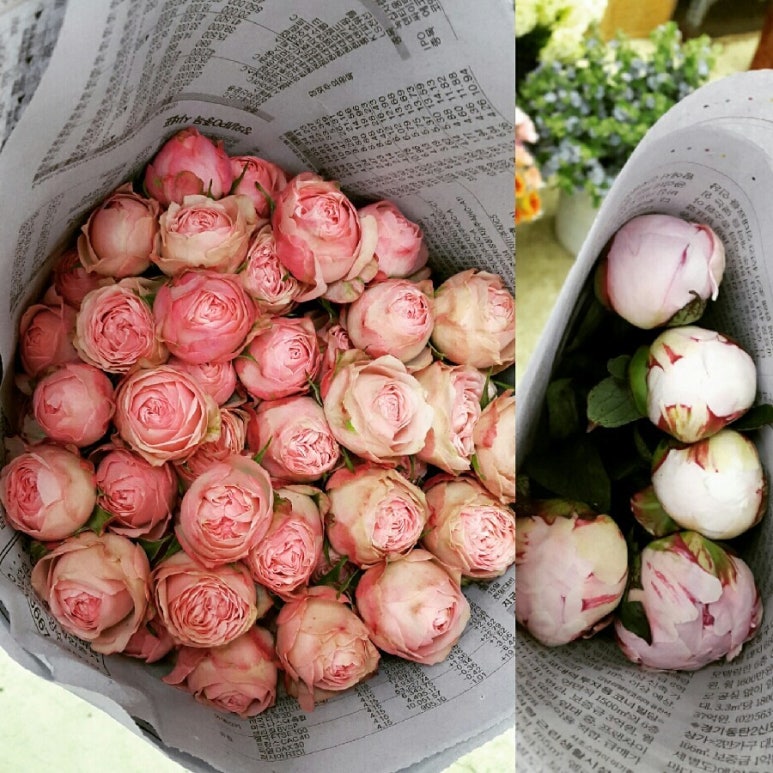 장미공판장 이미지