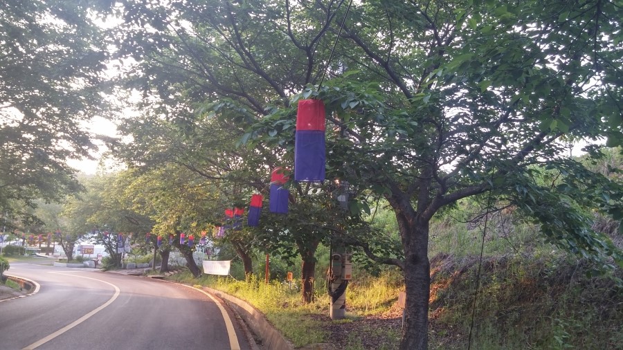 (주)투어일번지 이미지