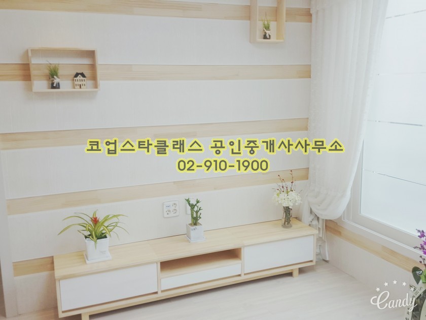 천우정보 이미지