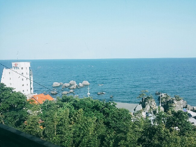 청학동칼국수 이미지