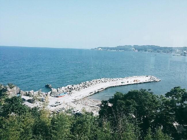 청학동칼국수 이미지
