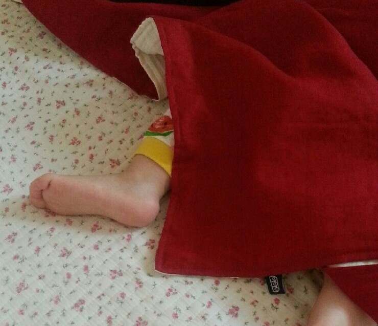 호호 컴퍼니 이미지