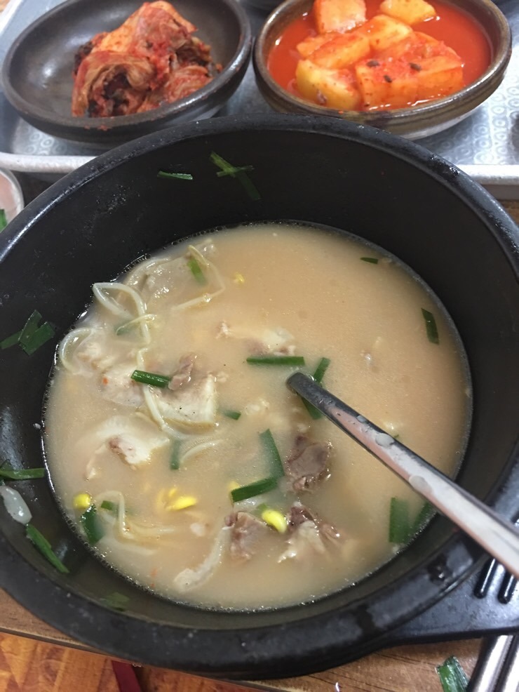 마로니에국밥 이미지