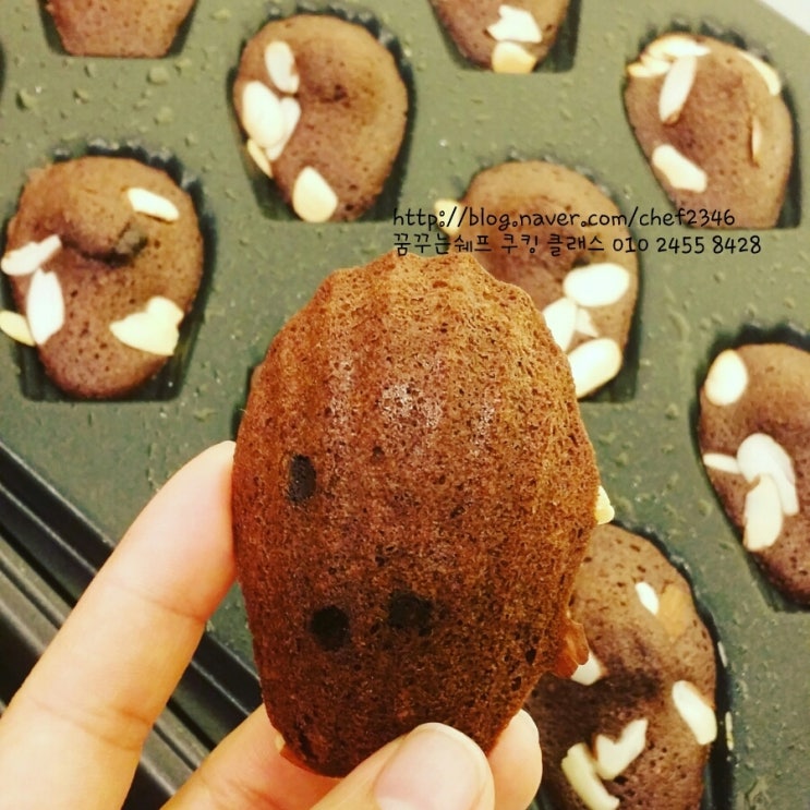 마들렌음악학원 이미지