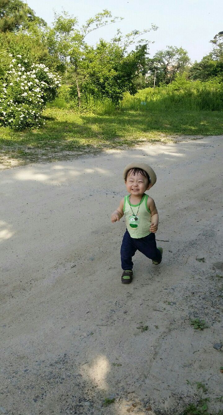 흙이랑나무랑 이미지