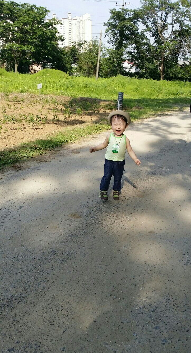 흙이랑나무랑 이미지