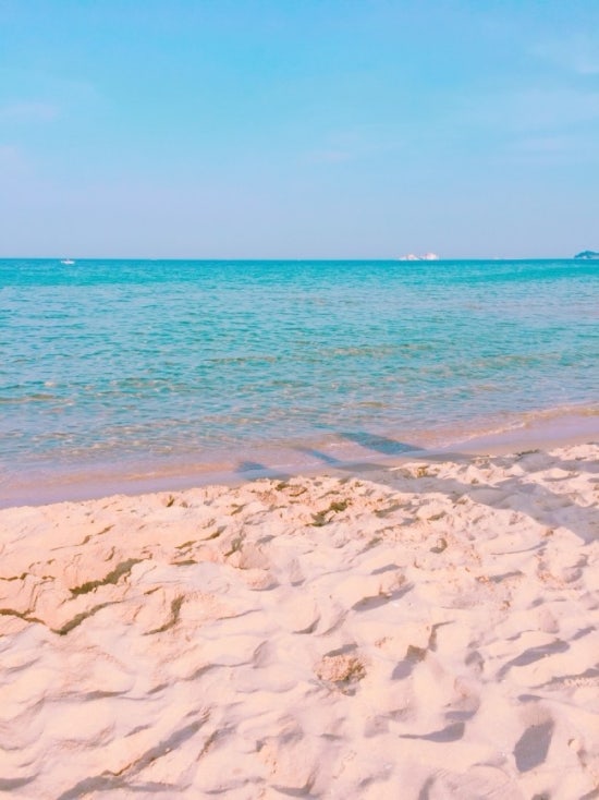 백상어다이빙 리조트 이미지