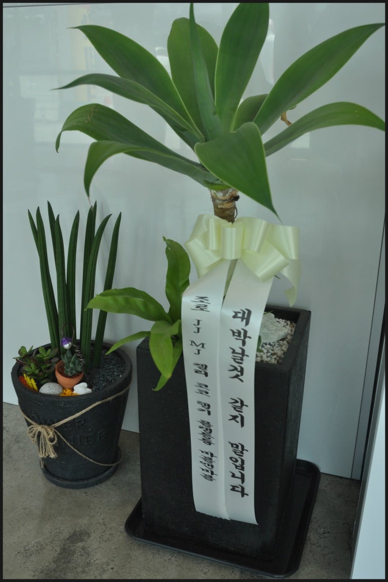 코코앤켈리 이미지