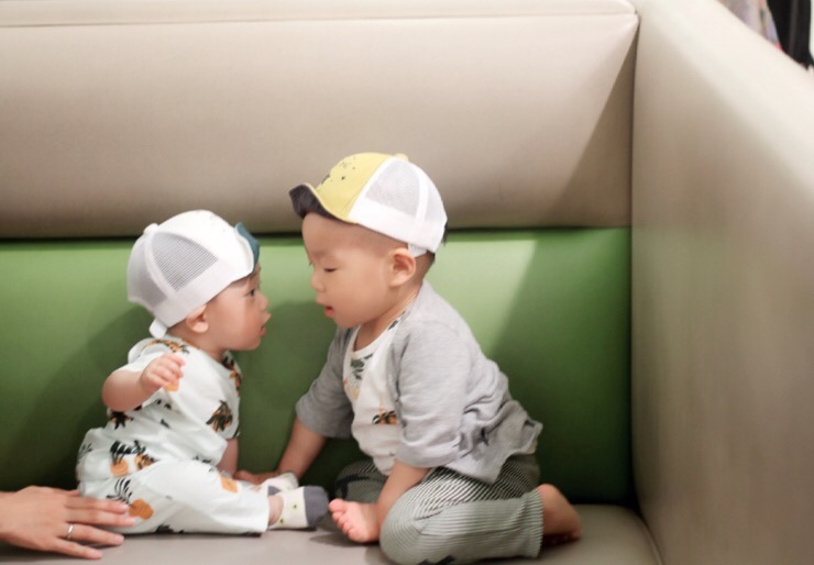 제이브라더스 이미지