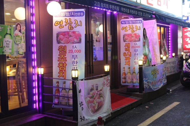 연참치 이미지