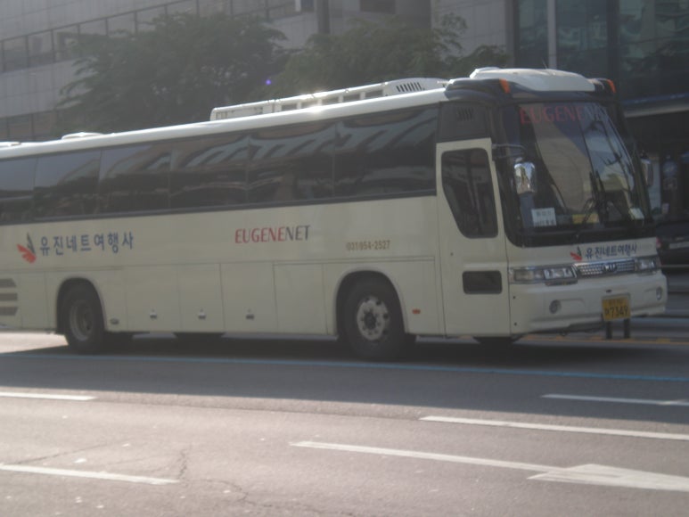 유진여행사 이미지