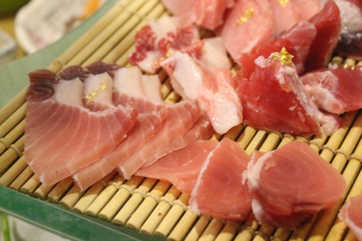 연참치 이미지