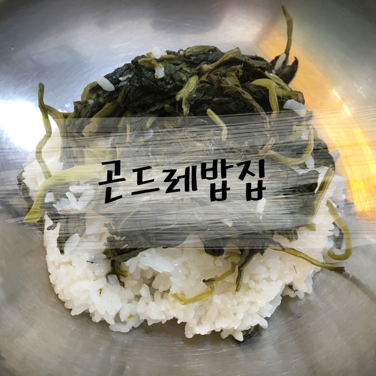 아우라지곤드레밥집 이미지