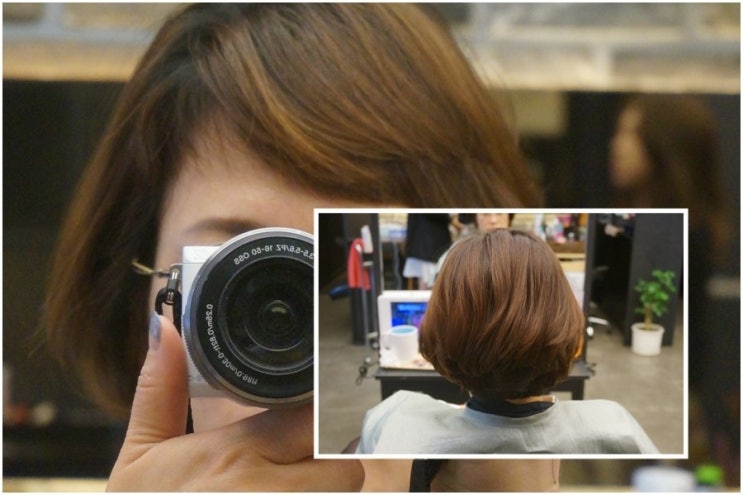헤어카리스 이미지