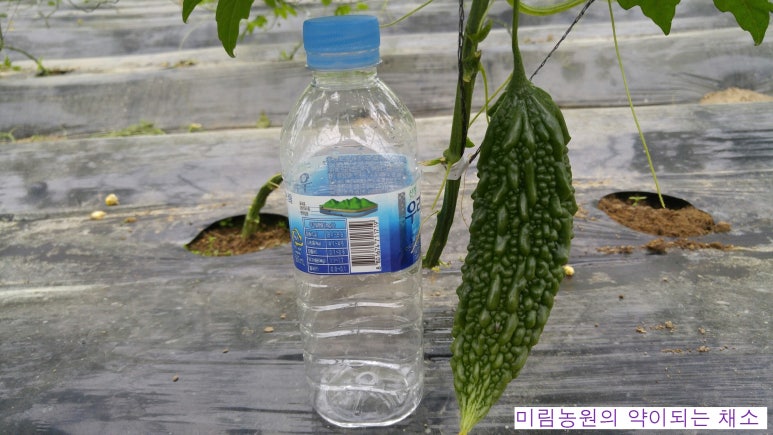 미림농원 이미지