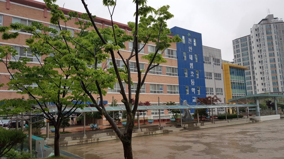 천안새샘초등학교 이미지