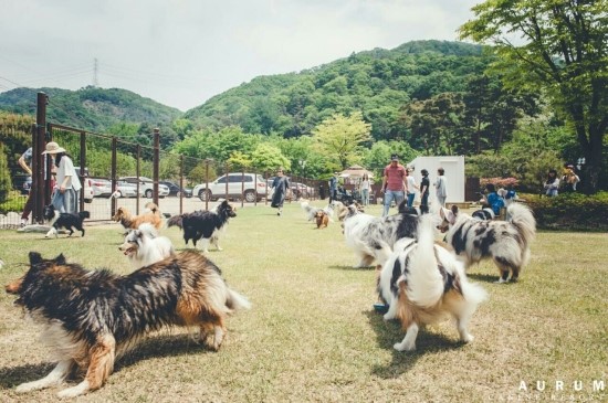 스타패밀리 이미지