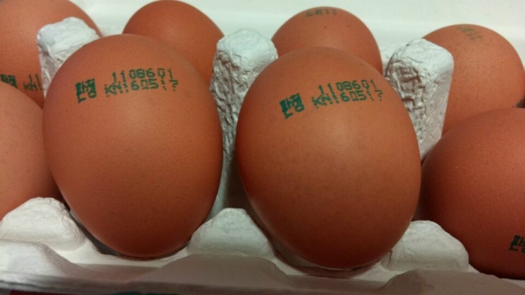 주식회사 누리웰 이미지