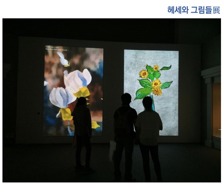 헤세더 이미지
