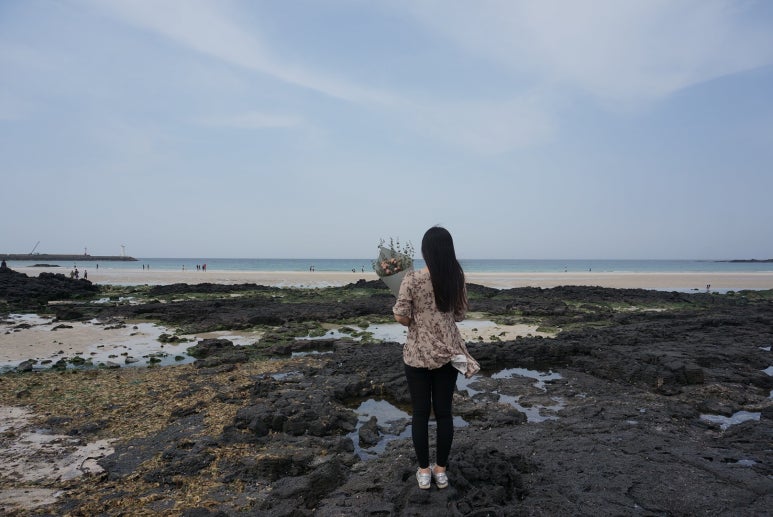 세화상회 이미지