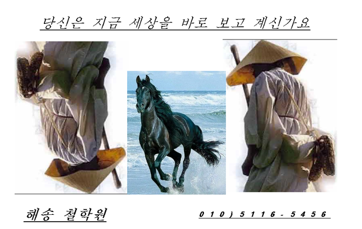 나침반여행사주 이미지
