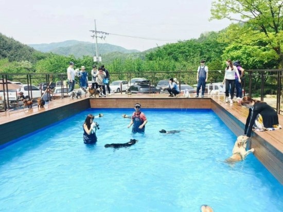 스타패밀리 이미지