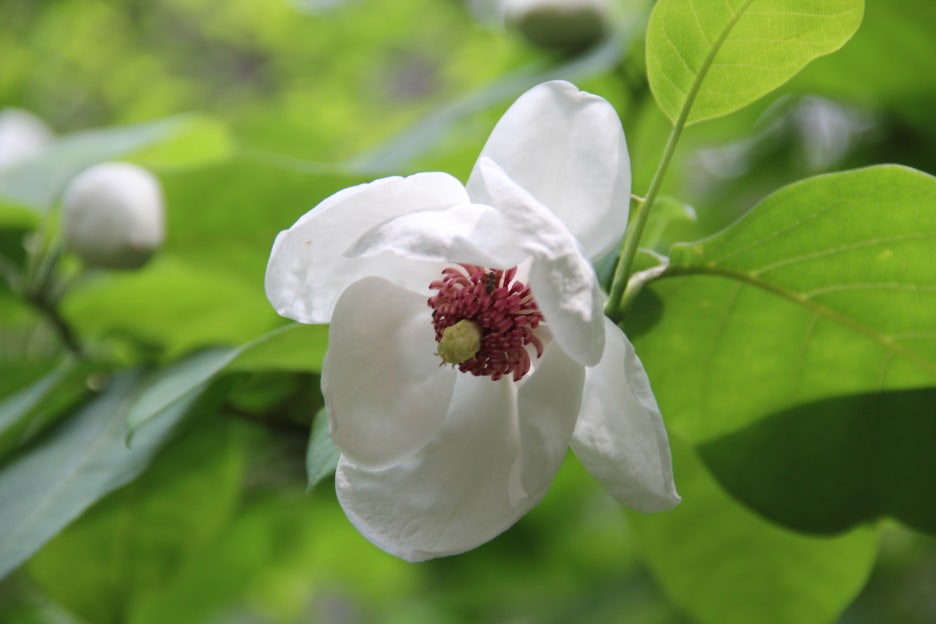 소백산산마루식당 이미지