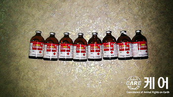 동아축산유통 이미지