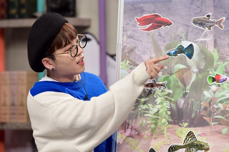 물고기집 이미지