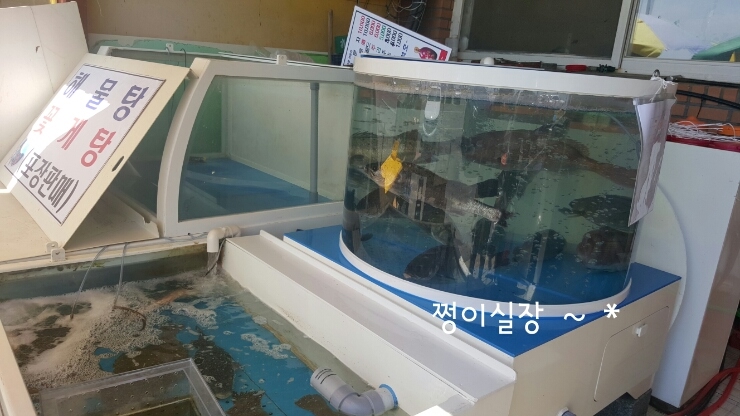 은석호 이미지