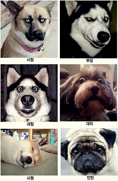 이루상사 이미지