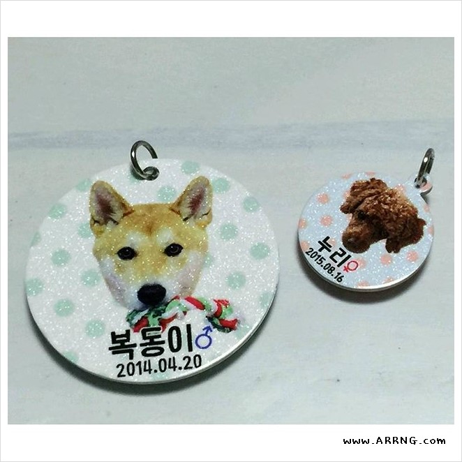 누리아르 이미지