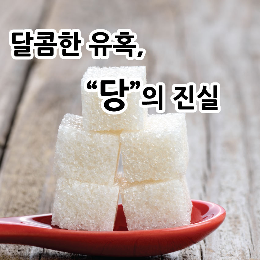 당 이미지