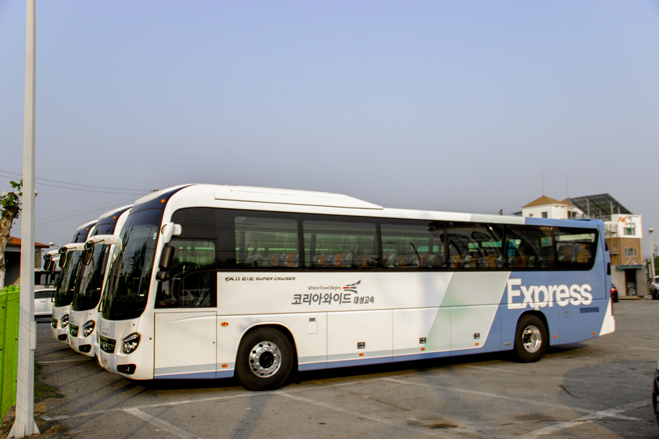 와이드대성 이미지