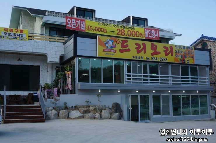 복드리오리 이미지
