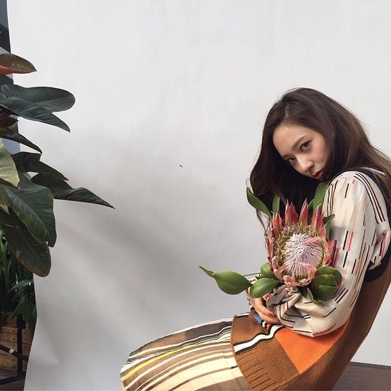파란달이 뜨는 날에 이미지