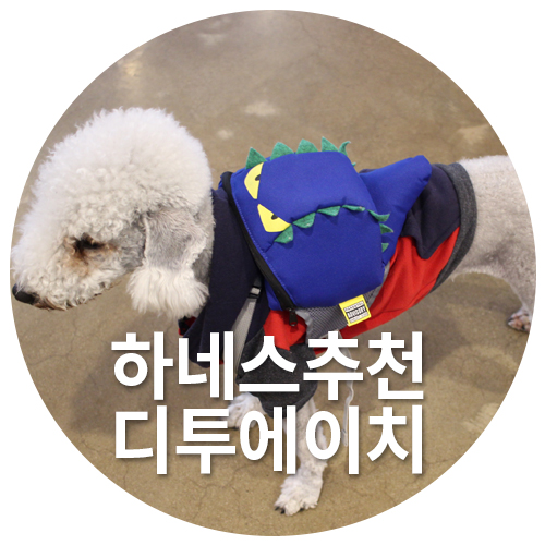 디투블루 이미지